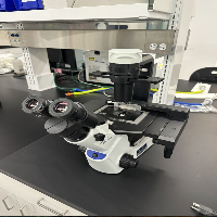 Olympus CKX53 Inverted Microscope image 1